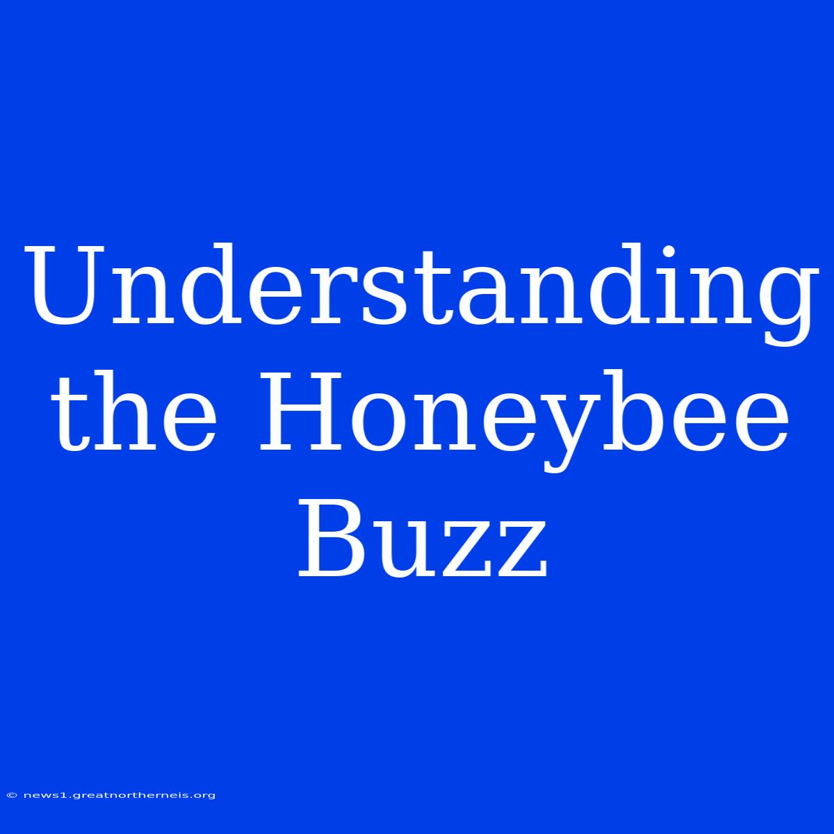 Understanding The Honeybee Buzz