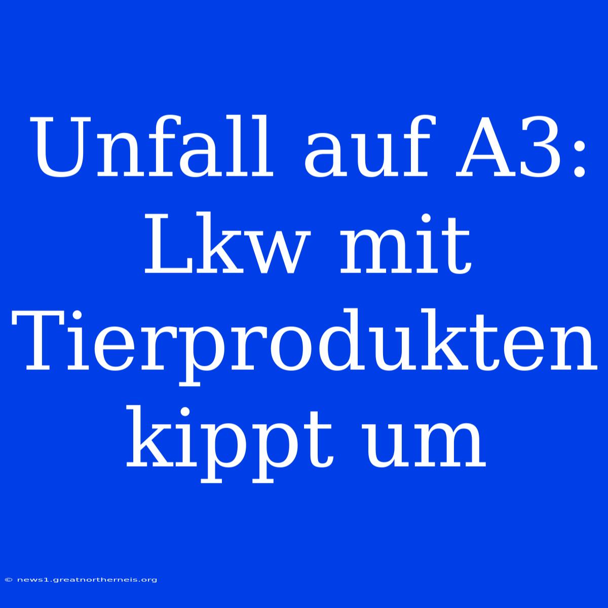 Unfall Auf A3: Lkw Mit Tierprodukten Kippt Um