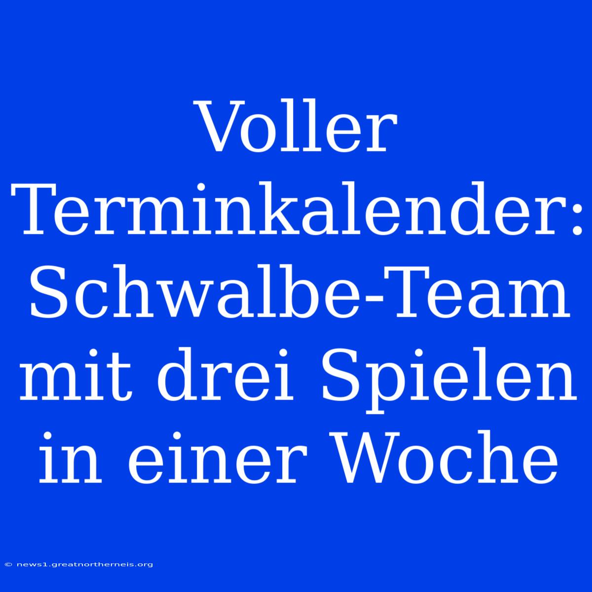 Voller Terminkalender: Schwalbe-Team Mit Drei Spielen In Einer Woche