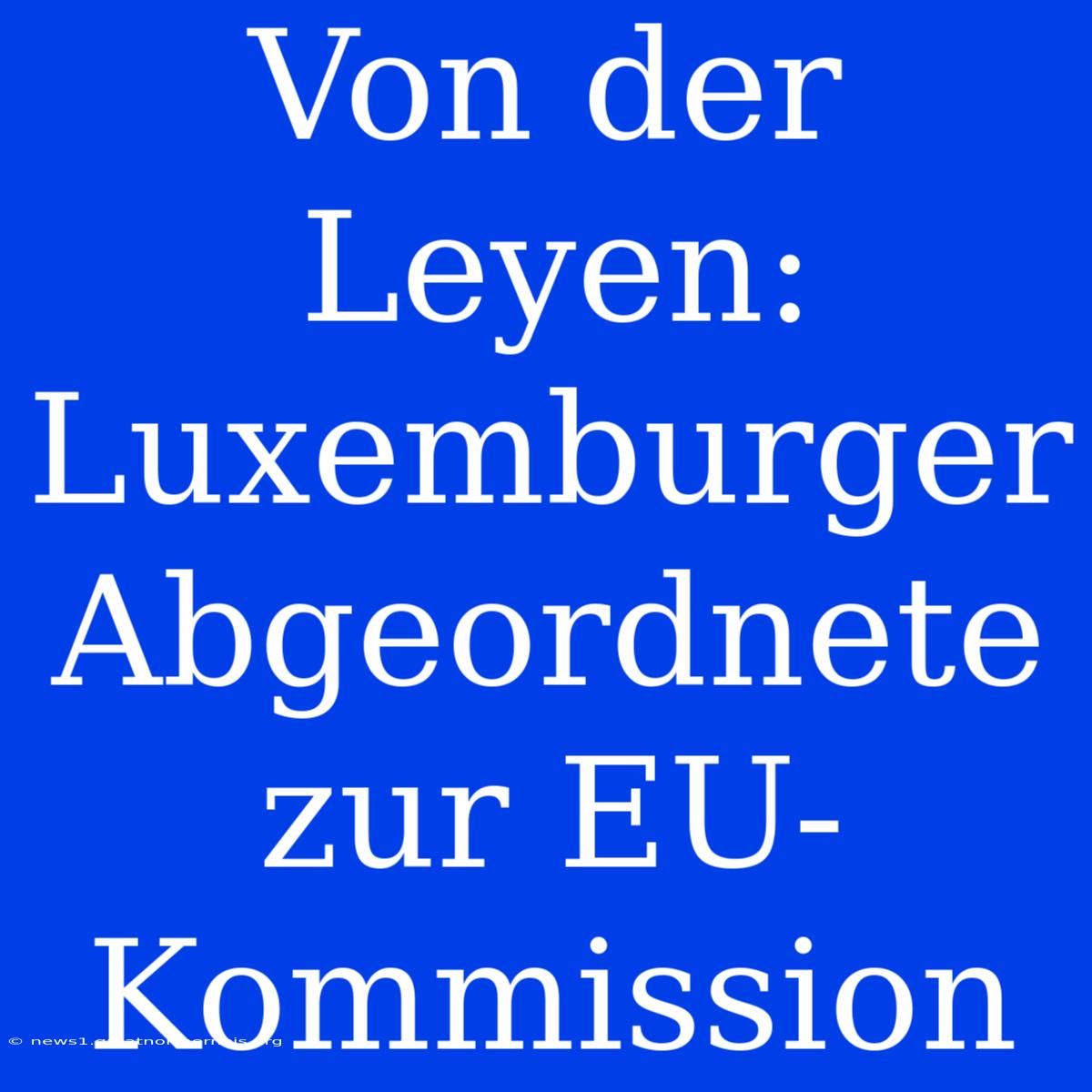 Von Der Leyen: Luxemburger Abgeordnete Zur EU-Kommission