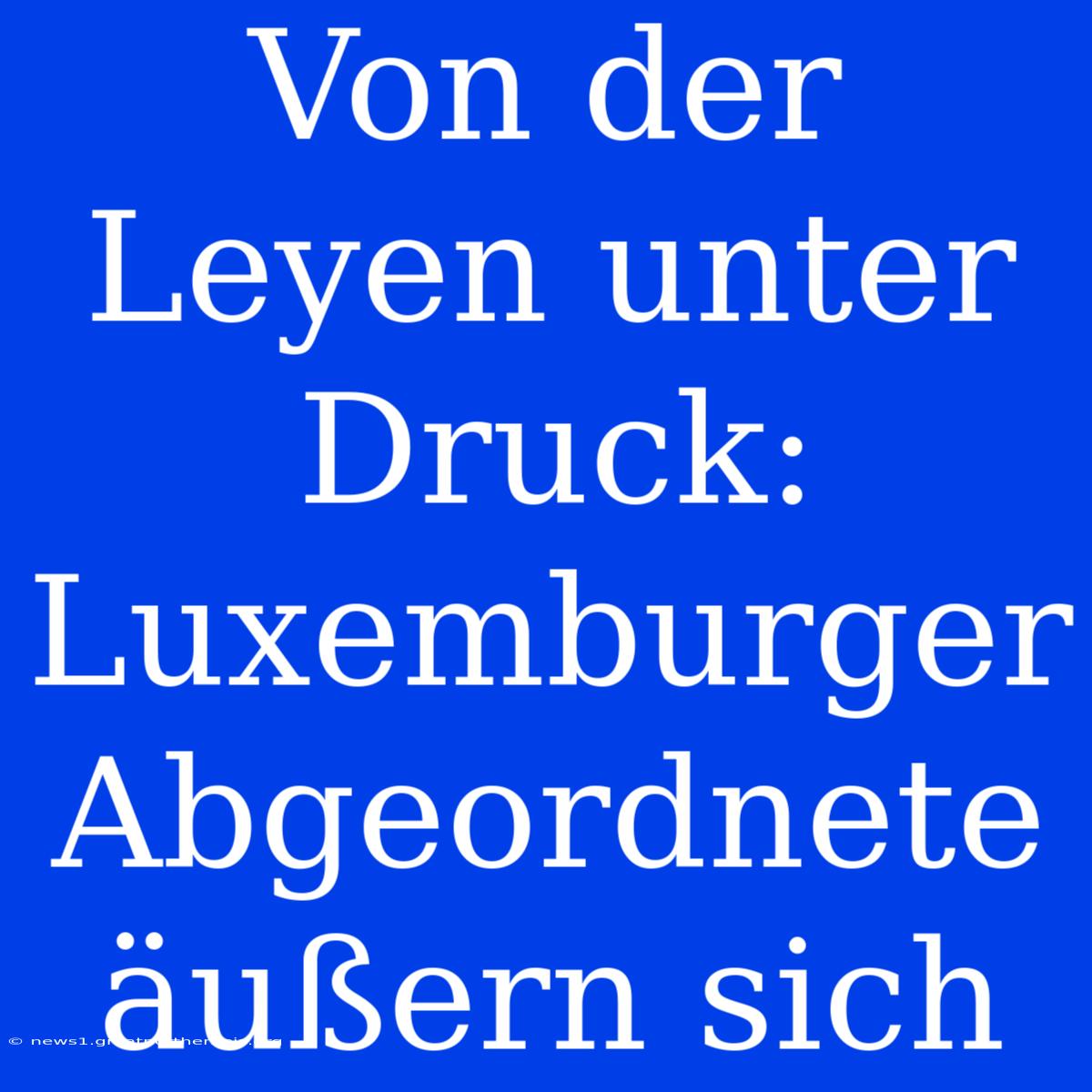 Von Der Leyen Unter Druck: Luxemburger Abgeordnete Äußern Sich