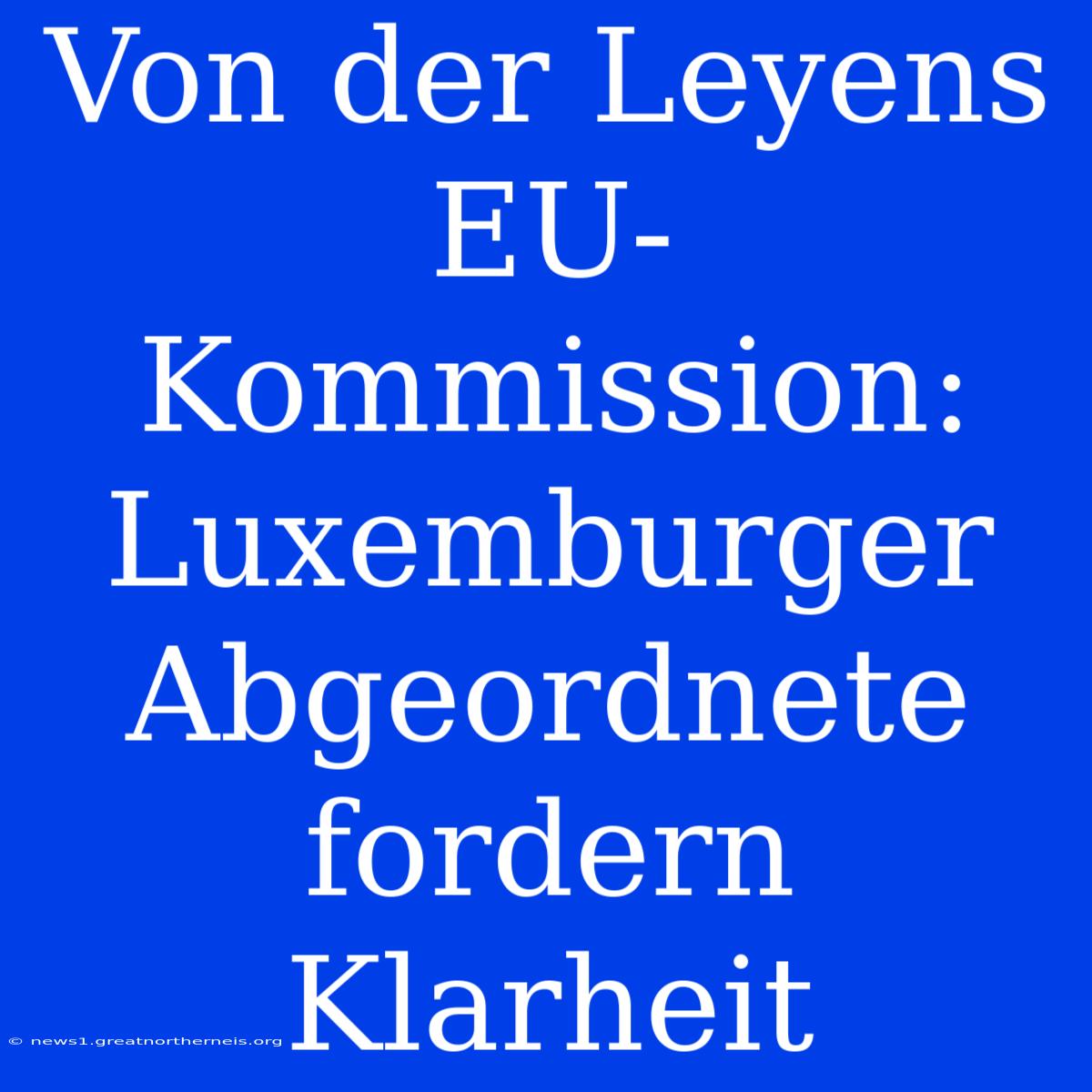 Von Der Leyens EU-Kommission: Luxemburger Abgeordnete Fordern Klarheit