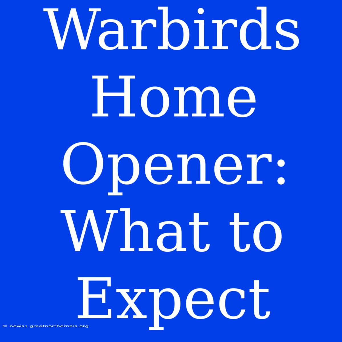 Warbirds Home Opener: What To Expect