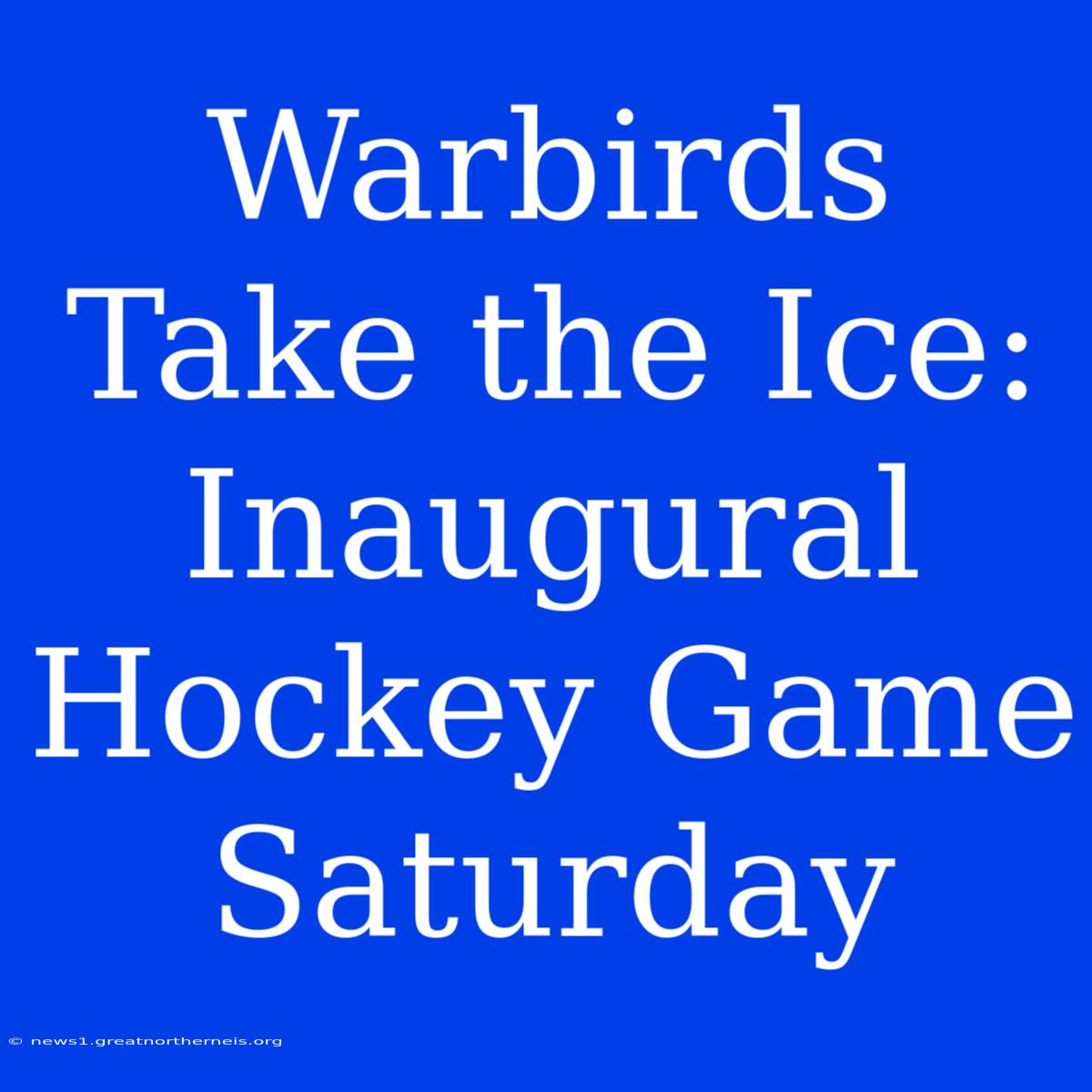 Warbirds Take The Ice: Inaugural Hockey Game Saturday