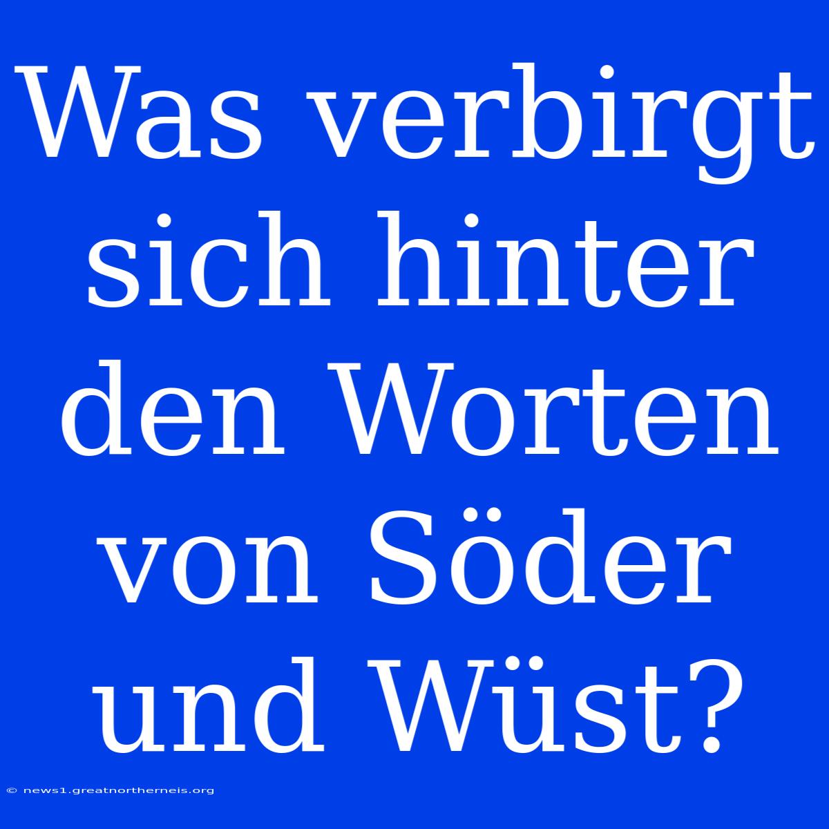 Was Verbirgt Sich Hinter Den Worten Von Söder Und Wüst?