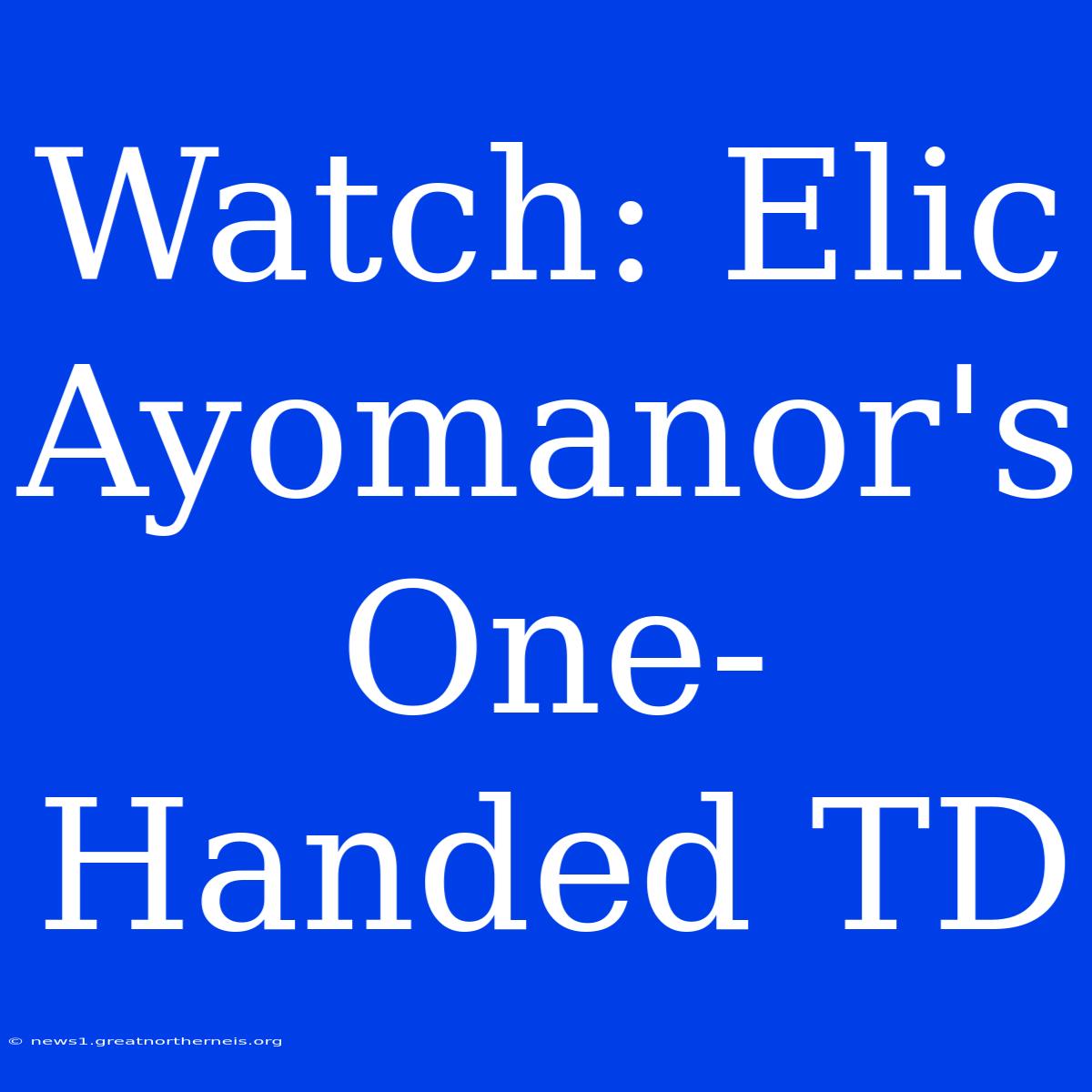 Watch: Elic Ayomanor's One-Handed TD