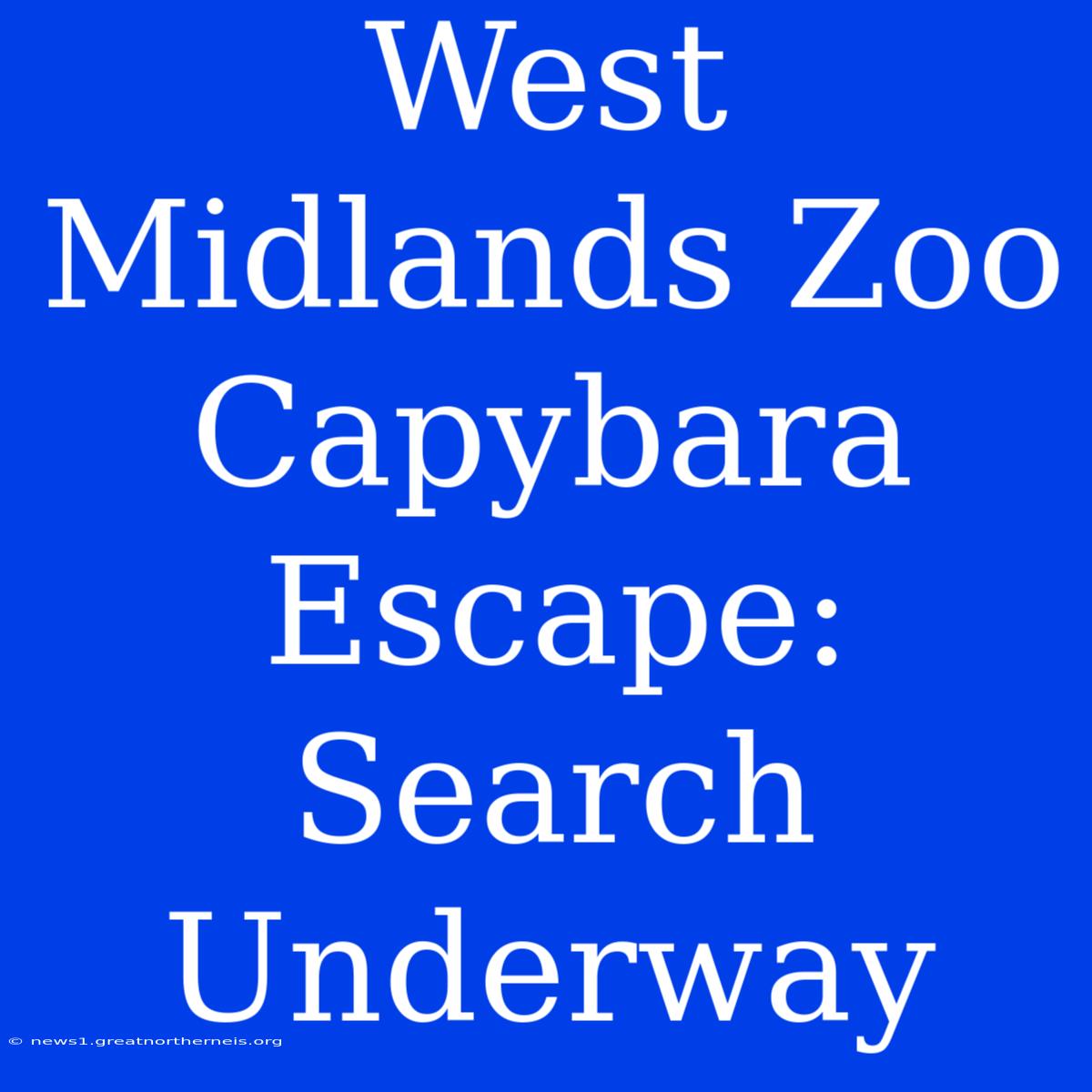 West Midlands Zoo Capybara Escape: Search Underway