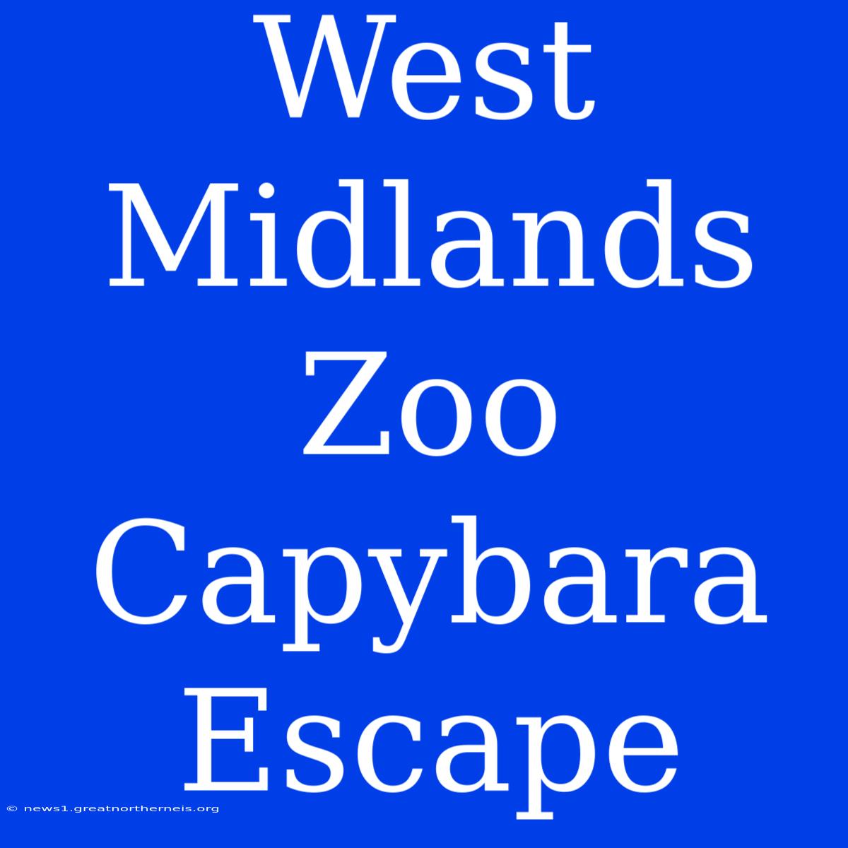 West Midlands Zoo Capybara Escape