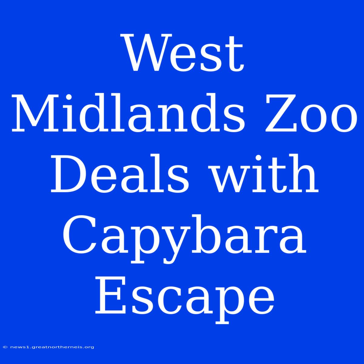 West Midlands Zoo Deals With Capybara Escape