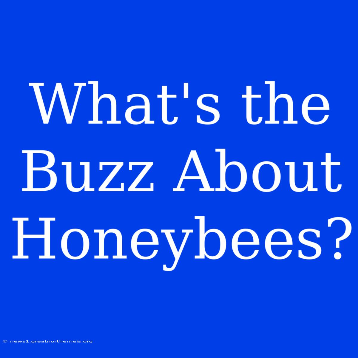 What's The Buzz About Honeybees?