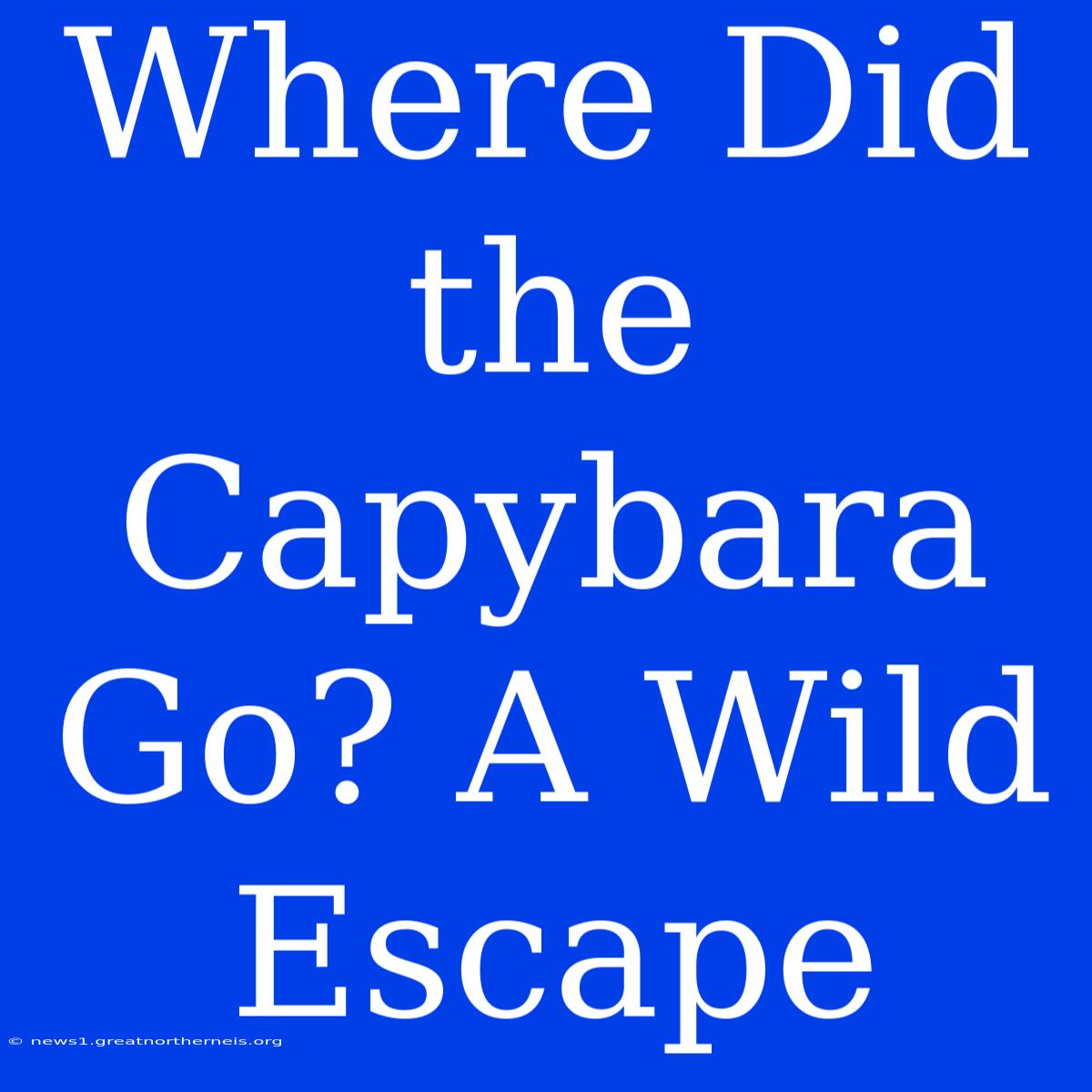 Where Did The Capybara Go? A Wild Escape