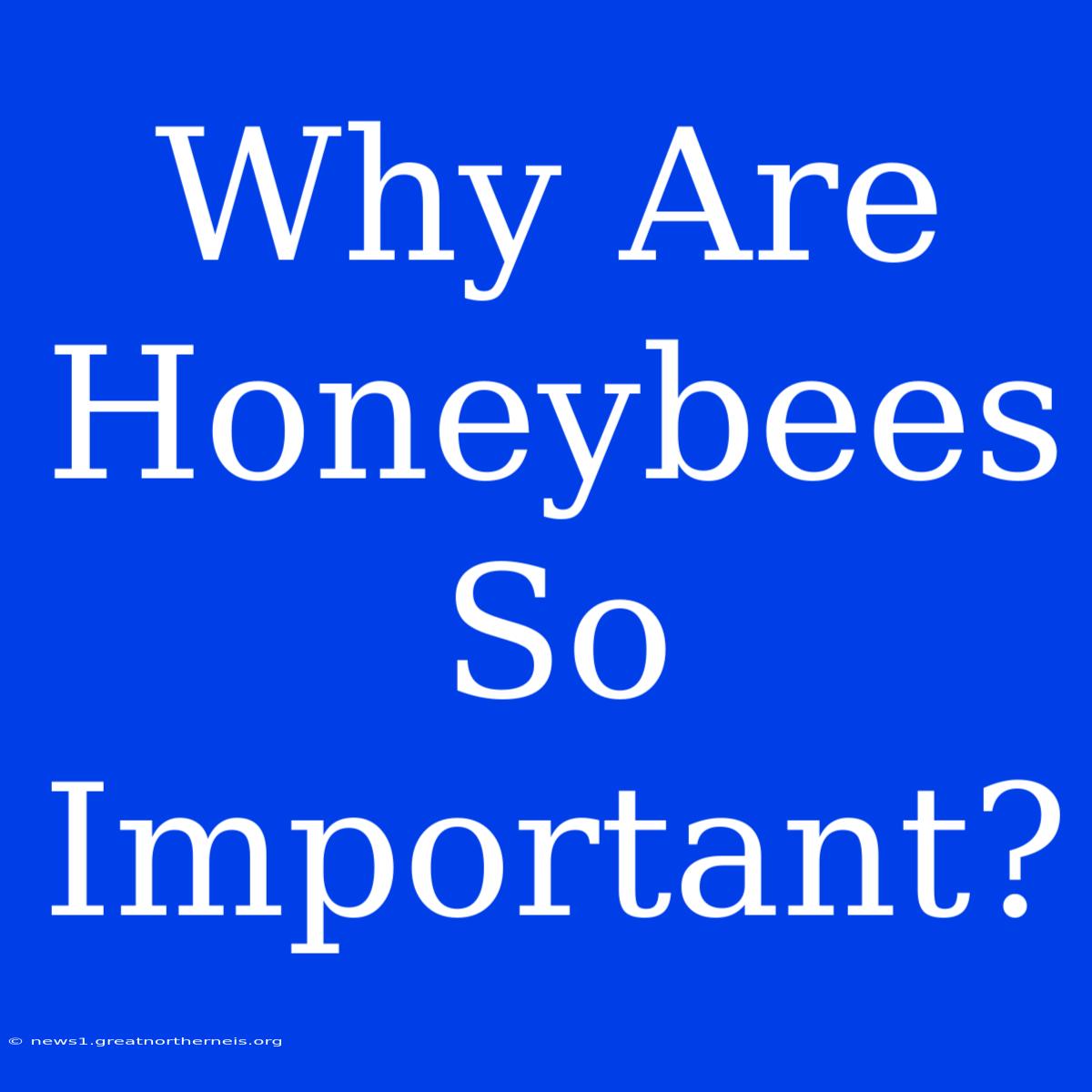 Why Are Honeybees So Important?