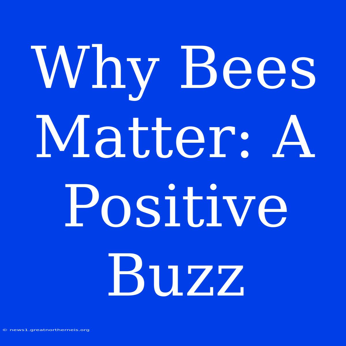 Why Bees Matter: A Positive Buzz