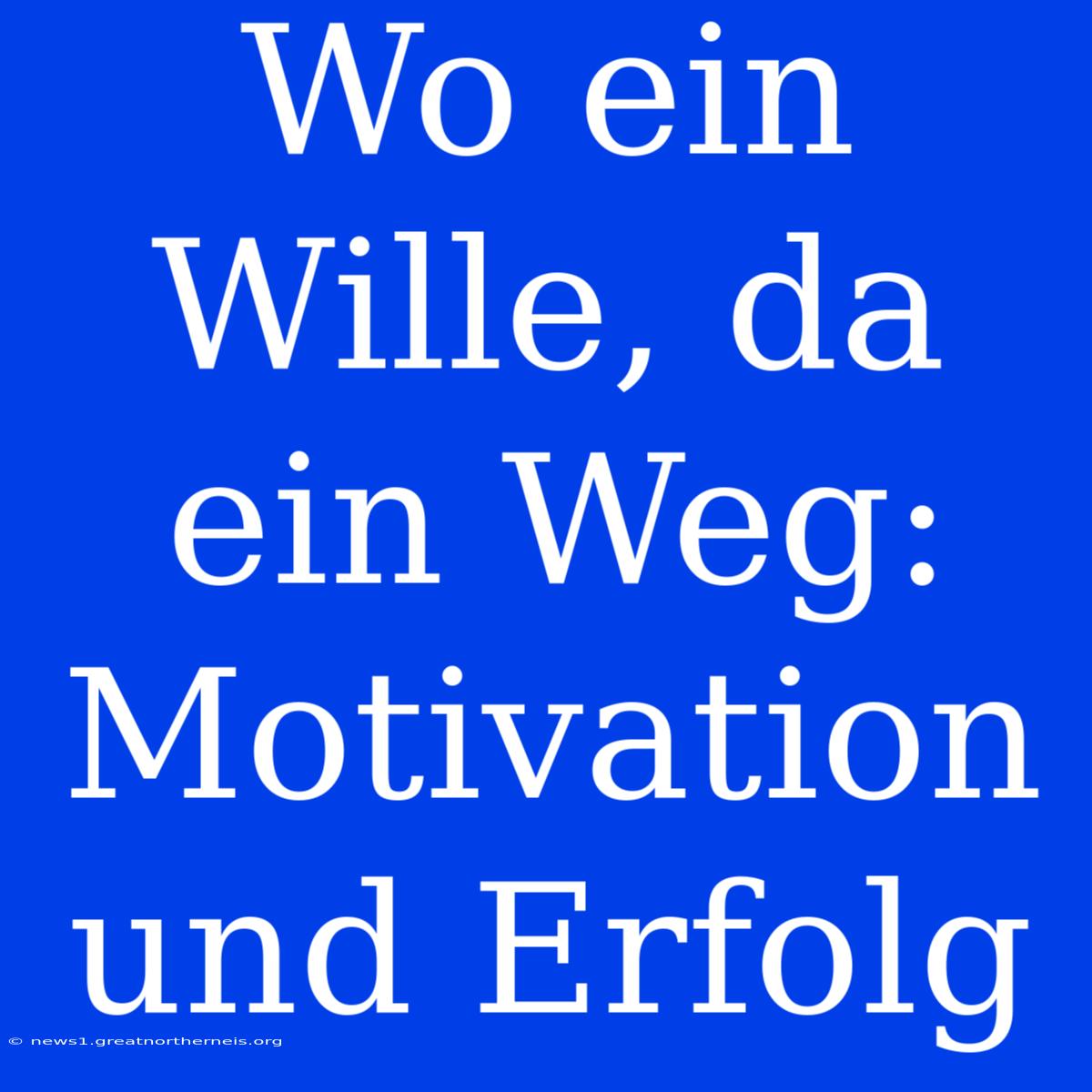 Wo Ein Wille, Da Ein Weg: Motivation Und Erfolg