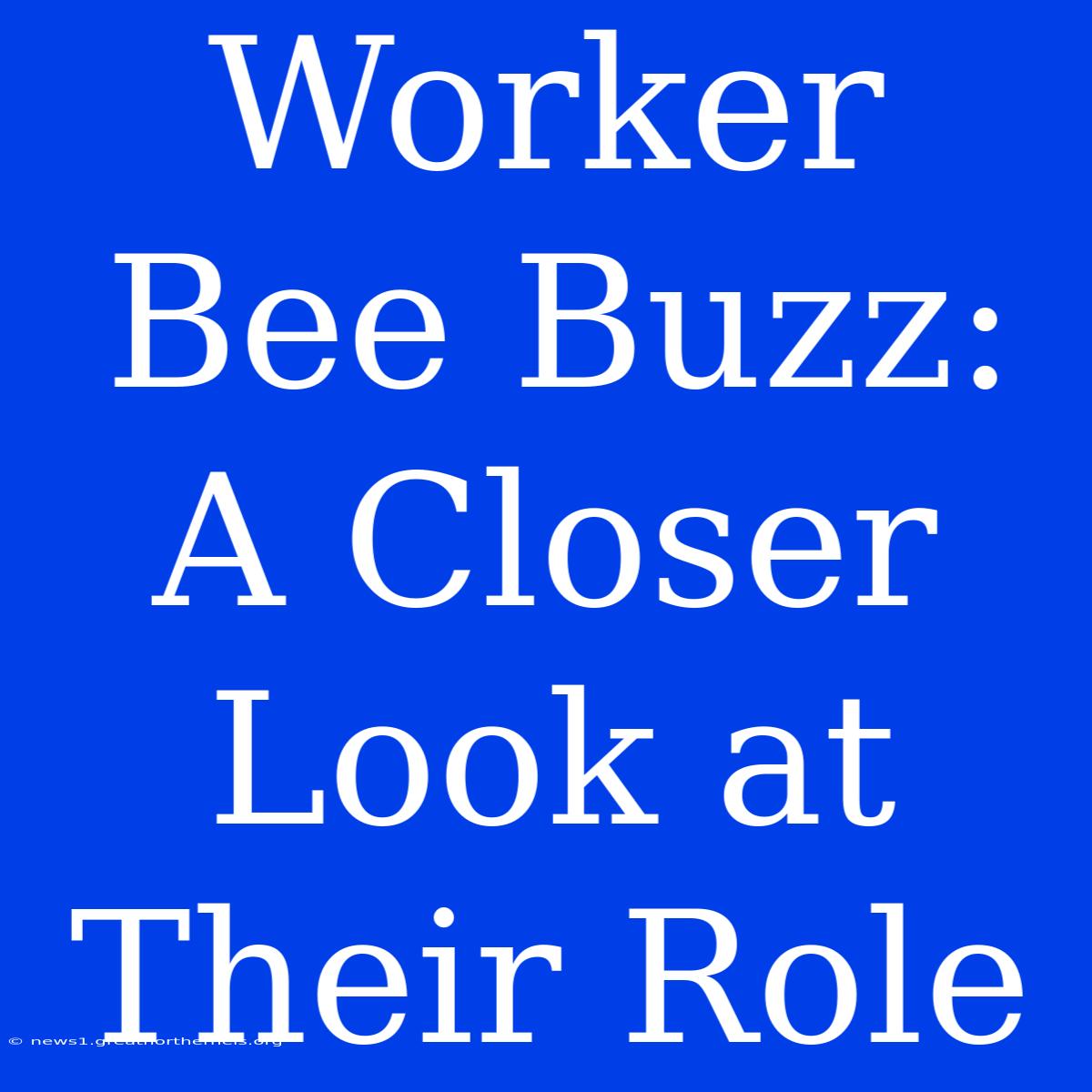 Worker Bee Buzz: A Closer Look At Their Role