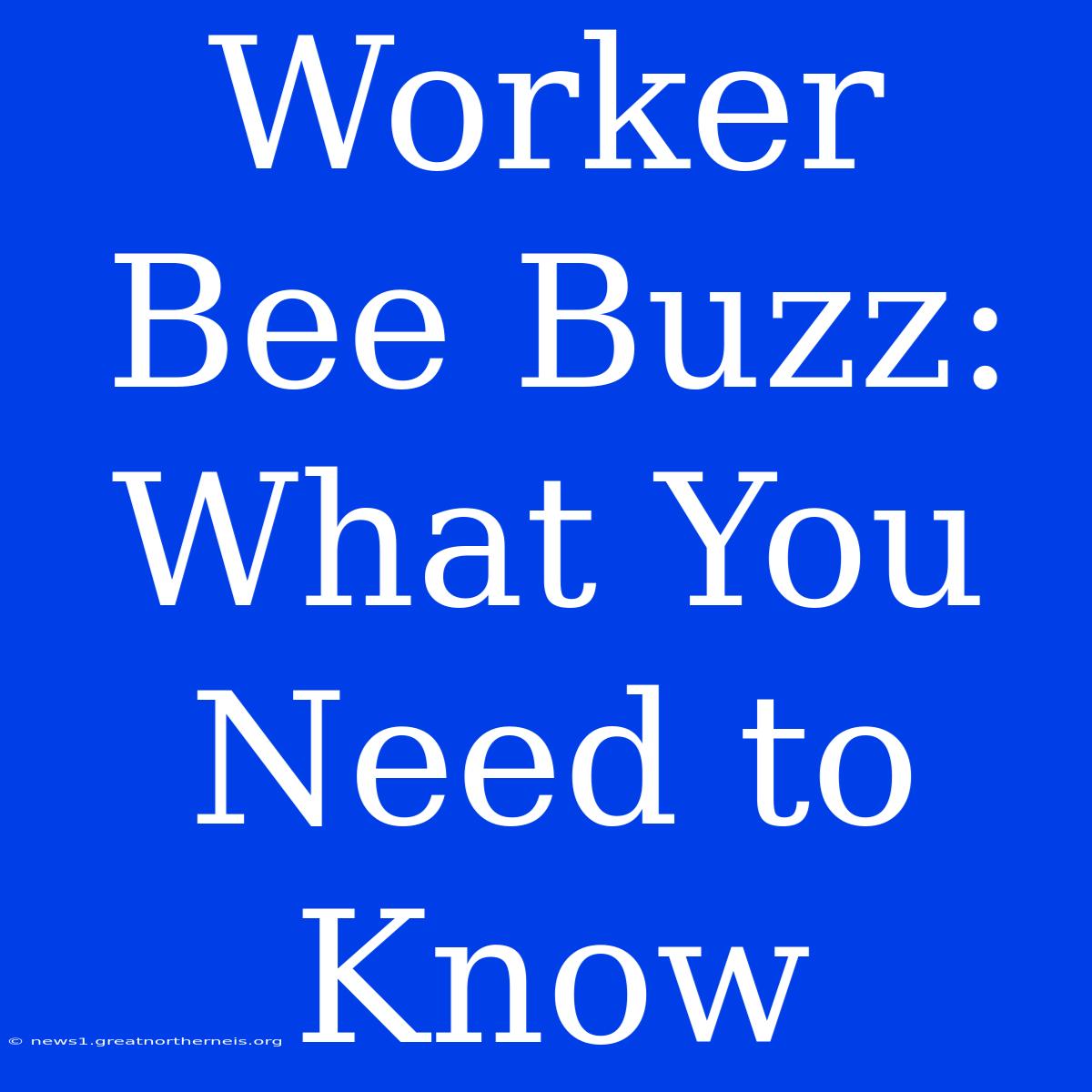 Worker Bee Buzz: What You Need To Know