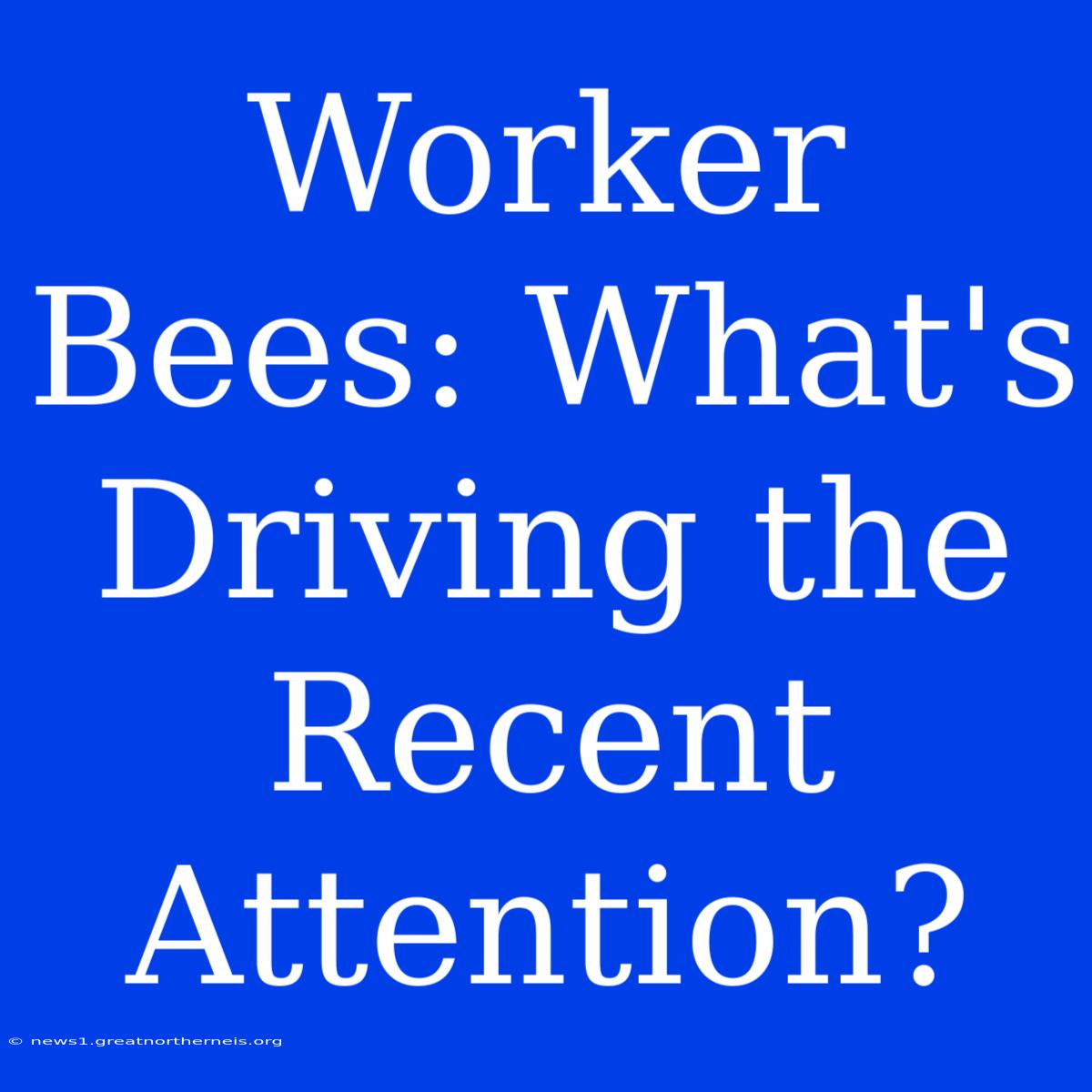 Worker Bees: What's Driving The Recent Attention?