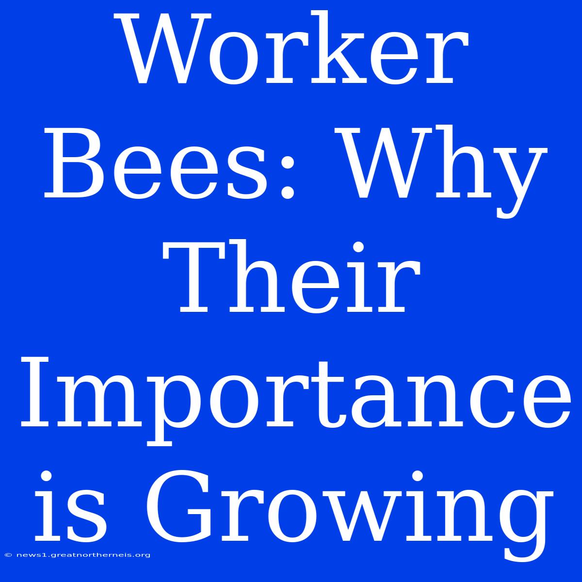 Worker Bees: Why Their Importance Is Growing