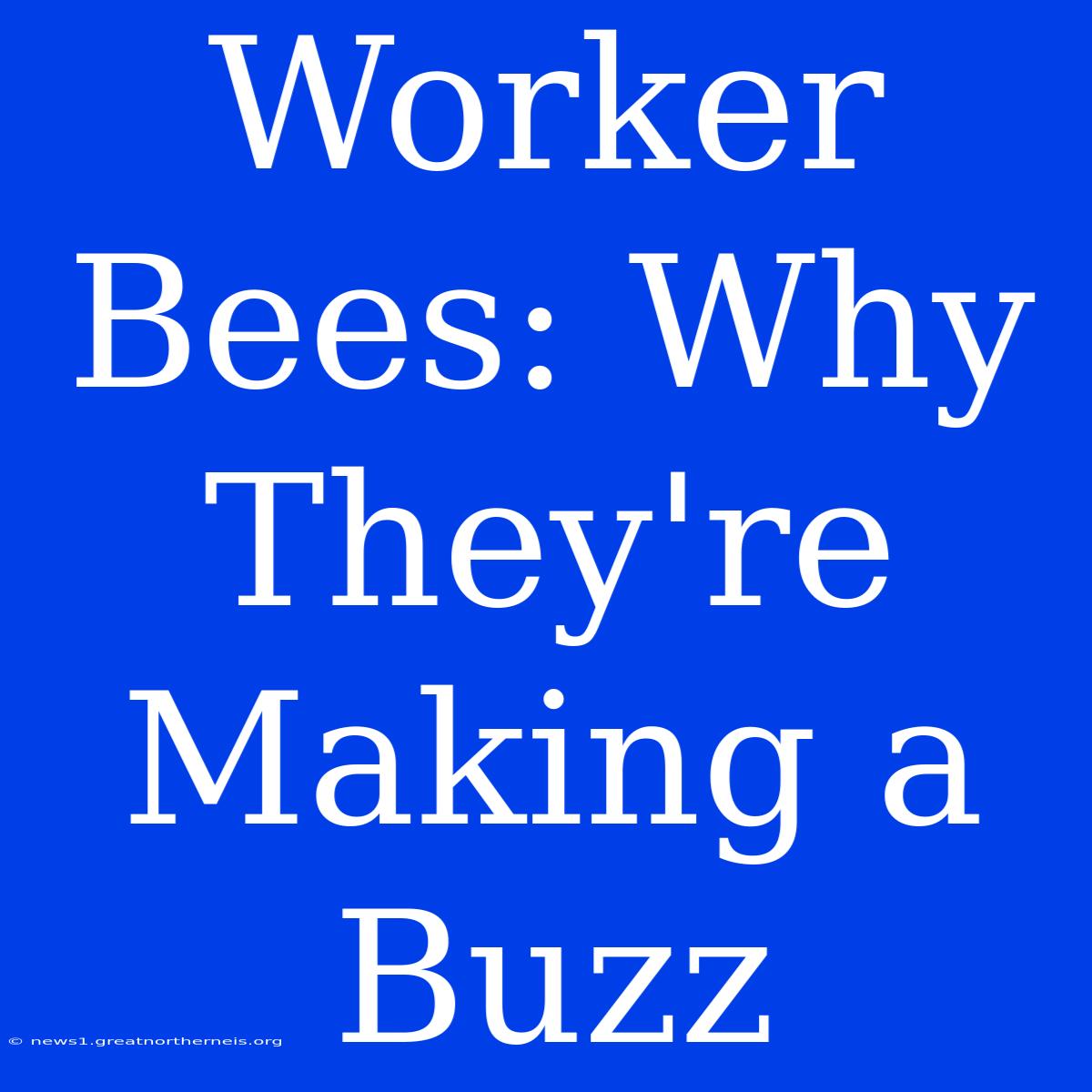 Worker Bees: Why They're Making A Buzz