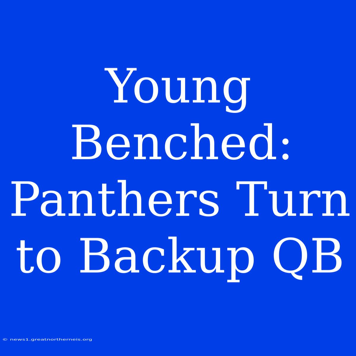 Young Benched: Panthers Turn To Backup QB