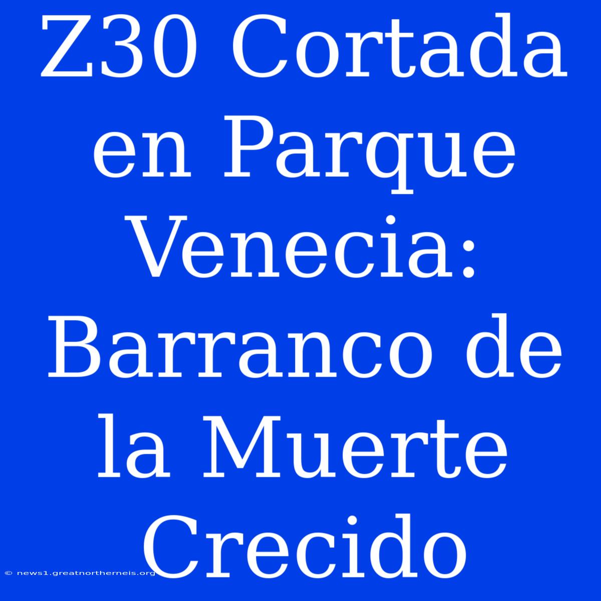 Z30 Cortada En Parque Venecia: Barranco De La Muerte Crecido