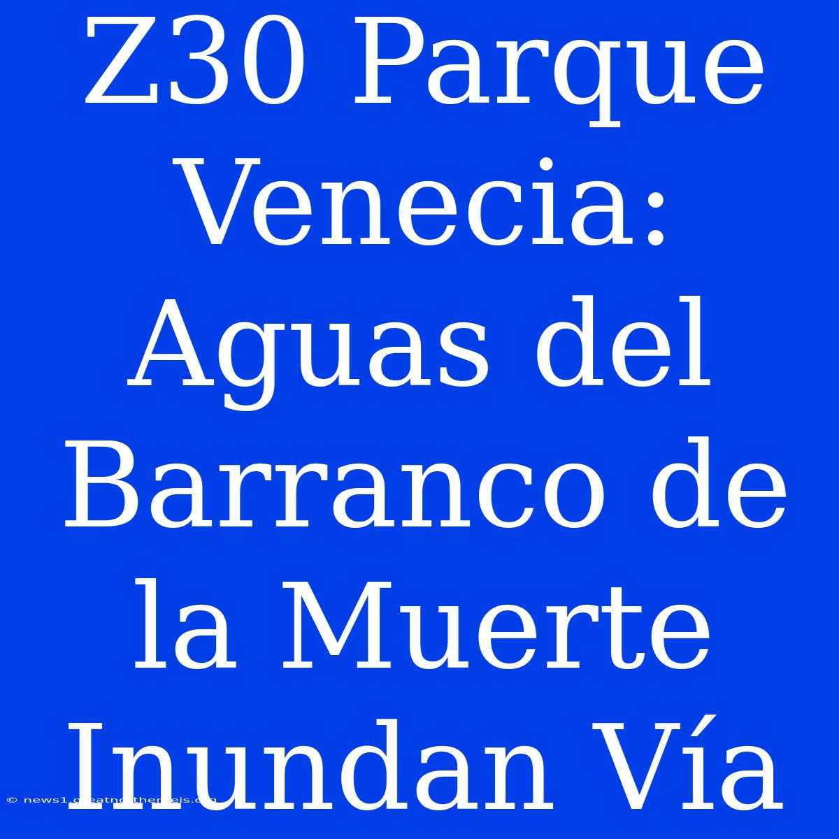 Z30 Parque Venecia: Aguas Del Barranco De La Muerte Inundan Vía