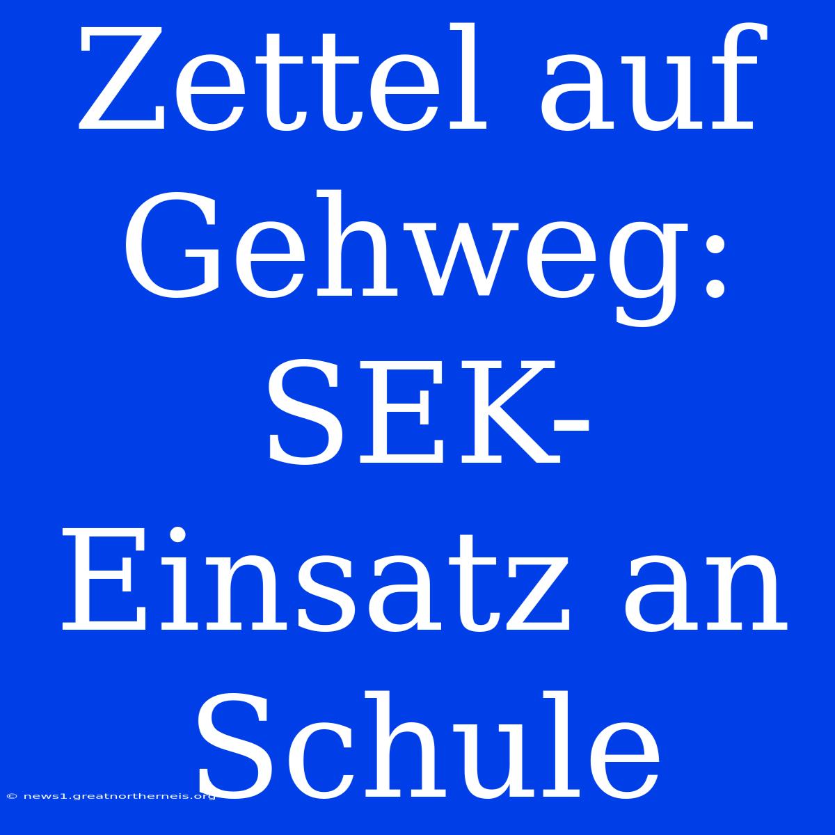 Zettel Auf Gehweg: SEK-Einsatz An Schule